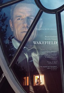 Во всем виноват енот