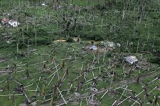 Ураган: Одиссея ветра – афиша