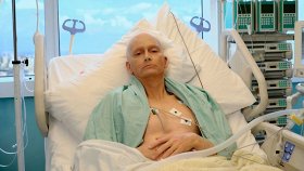 Литвиненко / Litvinenko