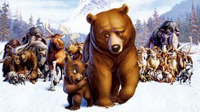 Братец медвежонок