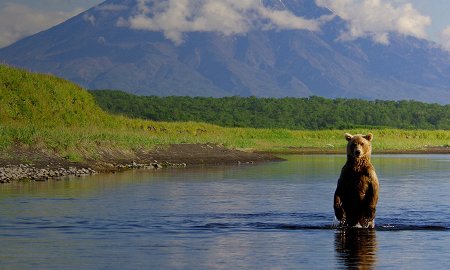 Главные выставки весны для детей и подростков