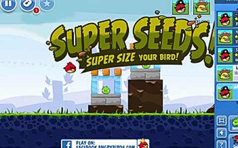 Angry Birds на фейсбуке, Тим Шафер выпросил миллион, PS Vita на низком старте и другие новости