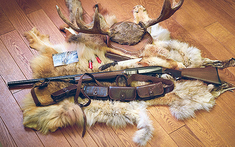 «Лечу и свищу — свинью пугаю»: охотники показывают свои ружья и трофеи