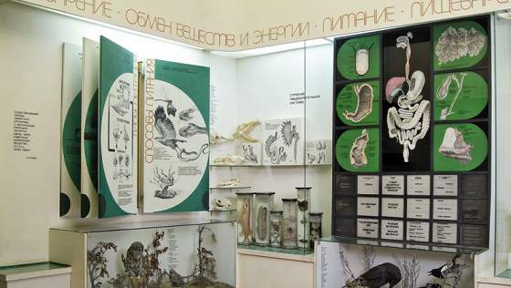 Питание, пищеварение и обмен веществ