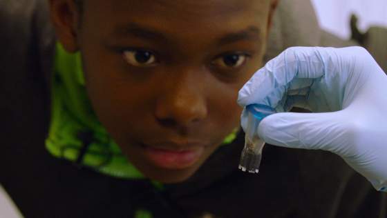 Человеческая природа / Human Nature