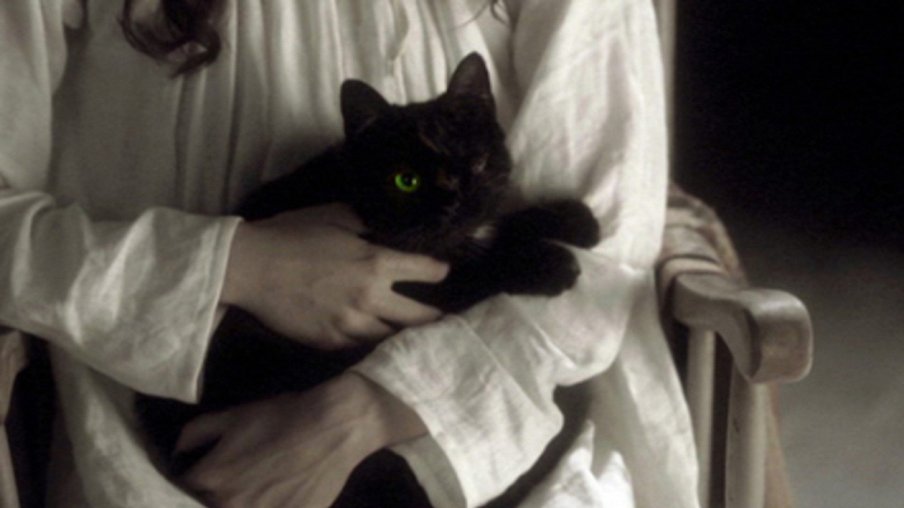 Мастера ужасов: Черный кот – афиша
