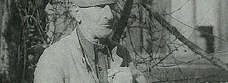 Кино: «Пастораль» Кино: «Пастораль»
