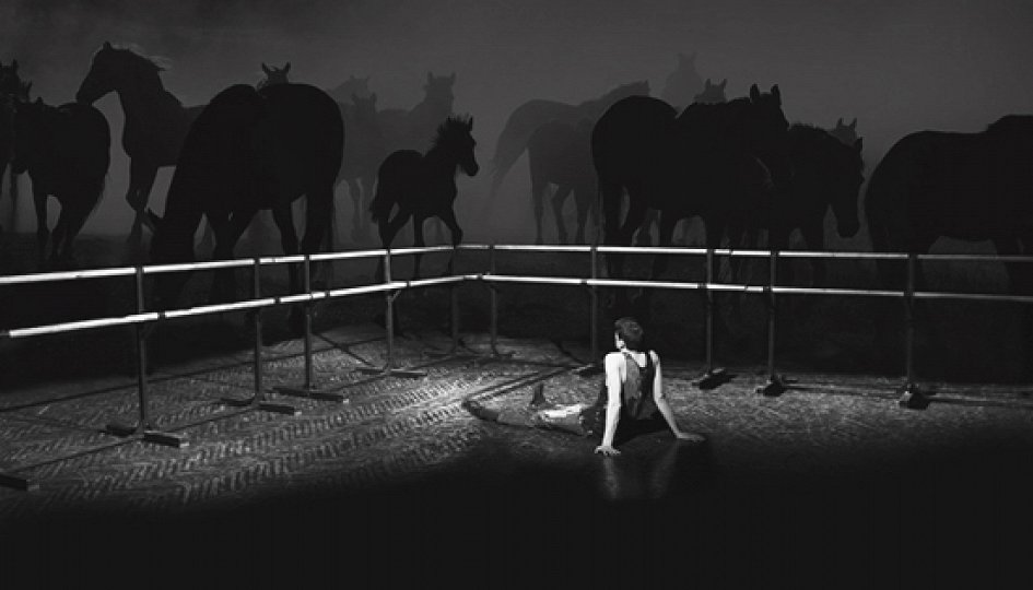 Театр: История лошади, Самара Театр: История лошади, Самара