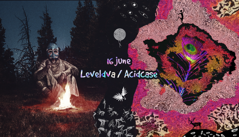 Концерты: LevelDva, Acidcase with Acid Pauli Концерты: LevelDva, Acidcase with Acid Pauli