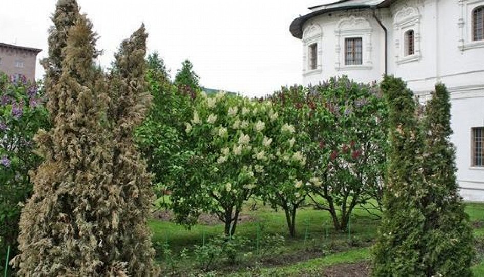 Кино: «Первая обитель Москвы. Новоспасский монастырь» Кино: «Первая обитель Москвы. Новоспасский монастырь»