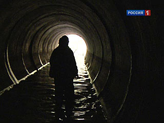 Британские ученые разработали автомобиль на фекалиях