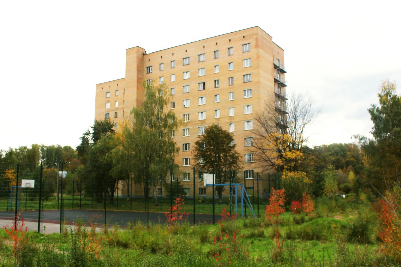 московский институт туризма московский институт туризма