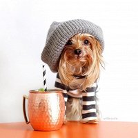 Фото пользователя