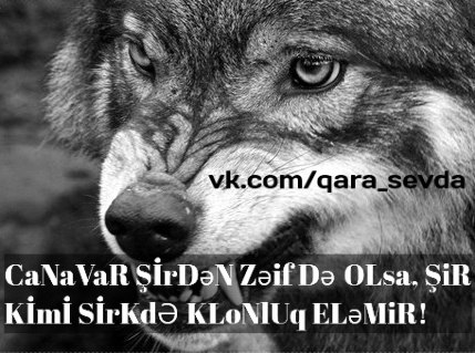 Canavar Resimleri Bing Images