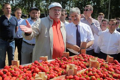 Жириновским посетил клубничный совхоз Грудинина