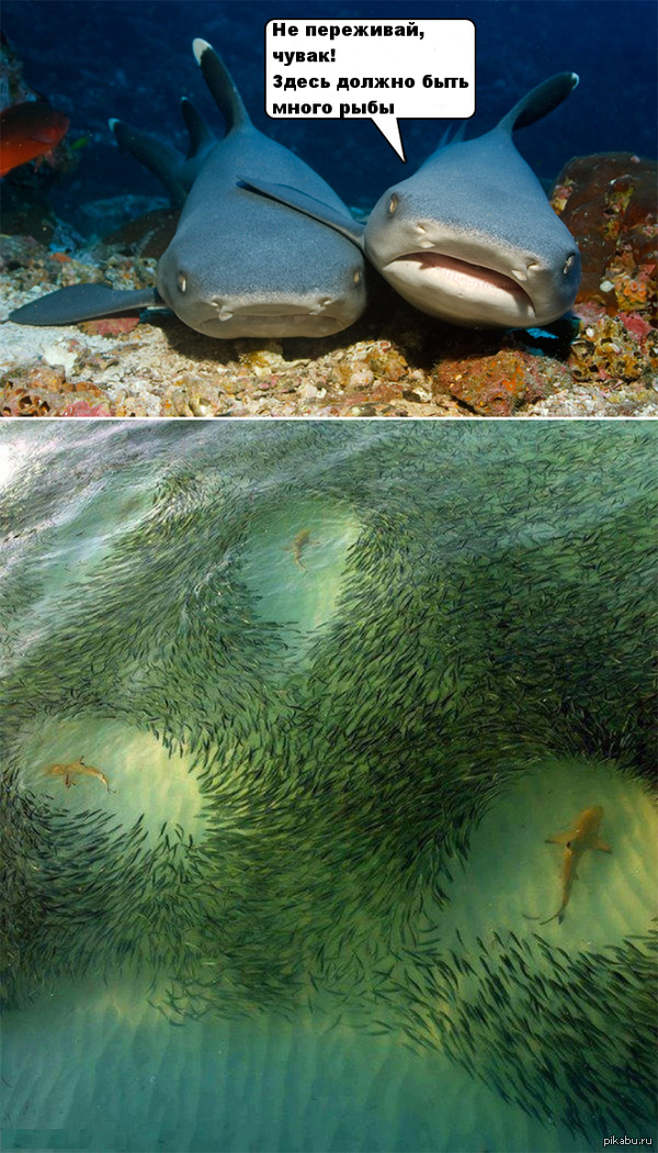 How to control blushing in front of your crush is dating Hookup site many fish in the sea